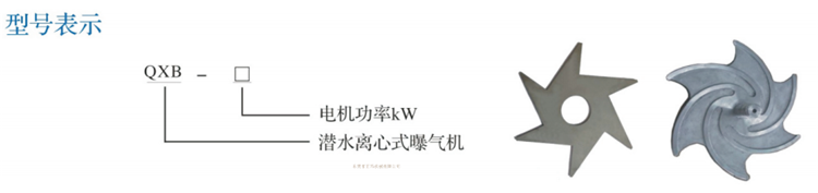 潛水曝氣機(jī)(圖3)